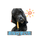 びびと、ゆかいな仲間たち（個別スタンプ：13）