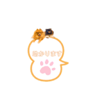 pomeranianファミリー（個別スタンプ：32）