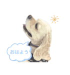 おはよう。メイです。（個別スタンプ：1）