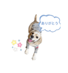 おはよう。メイです。（個別スタンプ：4）