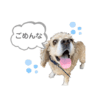 おはよう。メイです。（個別スタンプ：8）