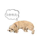 おはよう。メイです。（個別スタンプ：9）