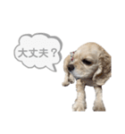おはよう。メイです。（個別スタンプ：10）