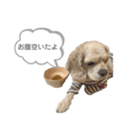 おはよう。メイです。（個別スタンプ：11）