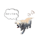 おはよう。メイです。（個別スタンプ：12）