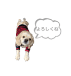 おはよう。メイです。（個別スタンプ：13）