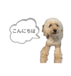おはよう。メイです。（個別スタンプ：17）