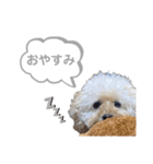 おはよう。メイです。（個別スタンプ：18）