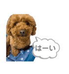 おはよう。メイです。（個別スタンプ：19）