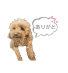 おはよう。メイです。（個別スタンプ：20）