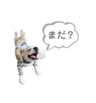 おはよう。メイです。（個別スタンプ：23）