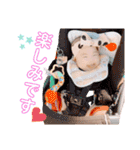 ちょっと成長おぴなちゃん（個別スタンプ：6）