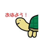 カメェスタンプ！（個別スタンプ：1）