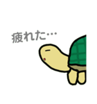 カメェスタンプ！（個別スタンプ：5）