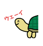 カメェスタンプ！（個別スタンプ：15）
