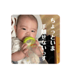 斯波の子孫2（個別スタンプ：2）