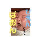 斯波の子孫2（個別スタンプ：11）