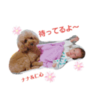 かわいい仁心＆ななスタンプ（個別スタンプ：5）