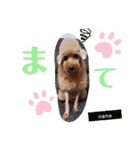かわいい仁心＆ななスタンプ（個別スタンプ：10）