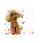 かわいい仁心＆ななスタンプ（個別スタンプ：28）