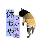 ブヒ3兄弟（個別スタンプ：6）
