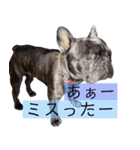 ブヒ3兄弟（個別スタンプ：10）