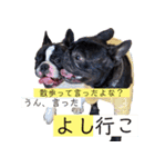 ブヒ3兄弟（個別スタンプ：13）