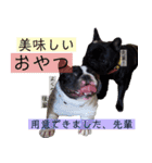 ブヒ3兄弟（個別スタンプ：15）