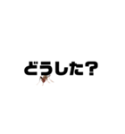 ドッキリです。（個別スタンプ：6）