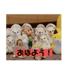 ハリネズミのぶーちゃん（個別スタンプ：2）