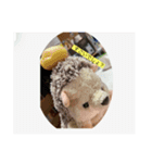 ハリネズミのぶーちゃん（個別スタンプ：5）