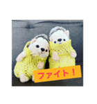 ハリネズミのぶーちゃん（個別スタンプ：8）