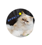 かぶき氏の暮らし（個別スタンプ：2）
