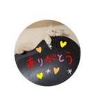 かぶき氏の暮らし（個別スタンプ：7）