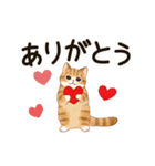 動く☆猫たちのスタンプ(冬)（個別スタンプ：5）