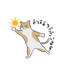 君の周りの犬と猫（個別スタンプ：1）