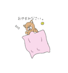 君の周りの犬と猫（個別スタンプ：2）