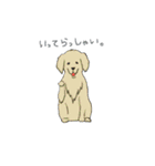 君の周りの犬と猫（個別スタンプ：3）
