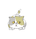 君の周りの犬と猫（個別スタンプ：11）