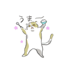 君の周りの犬と猫（個別スタンプ：12）