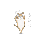 君の周りの犬と猫（個別スタンプ：13）