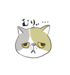 君の周りの犬と猫（個別スタンプ：16）