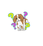 君の周りの犬と猫（個別スタンプ：24）