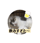 ノルウェージャンのエル③（個別スタンプ：15）