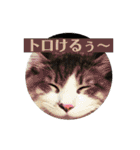 ノルウェージャンのエル③（個別スタンプ：37）