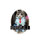 ノルウェージャンのエル③（個別スタンプ：38）