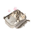 ソフィのスタンプ第三弾！（個別スタンプ：2）