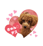ここたスタンプ色々（個別スタンプ：1）