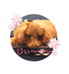 ここたスタンプ色々（個別スタンプ：4）
