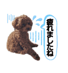 ここたスタンプ色々（個別スタンプ：9）